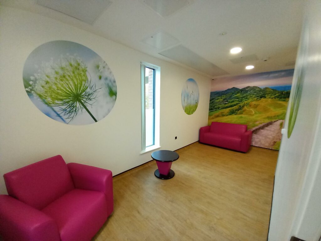 One of the large landscape scenes installed throughout the department, including in the Mental Health Assessment rooms here