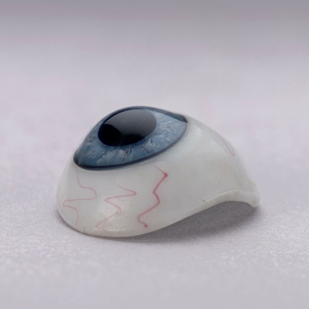 An artificial glass eye on display at the George Marshall Medical Museum