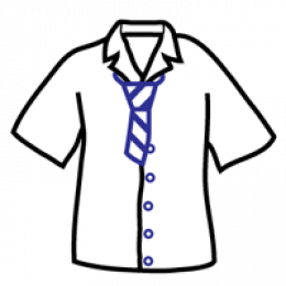 Consultant