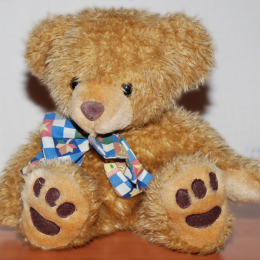 Teddy Bear