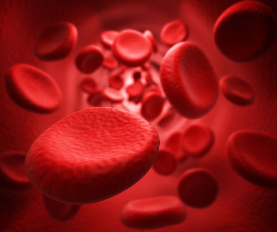 Blood_cells