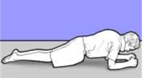 Person lying face down raised onto elbows which are below shoulders arms forward. Legs are straight like a plank. 