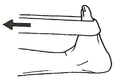 Diagram of calf muscle being stretched  using the band around toes method. Toes are being pulled towards the body