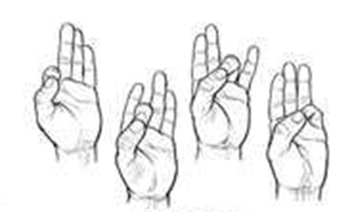 A diagram of a thumb touching each individual finger