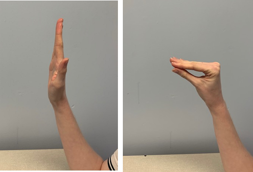 An image of a hand the fingers are held up straight. A second image shows the fingers bending at the main knuckle next to the palm, fingers are still straight and touching the thumb like a beak 