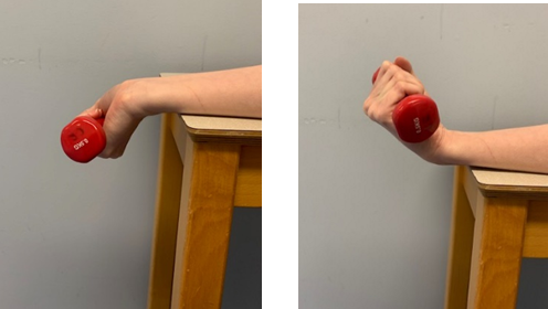 An image of a forearm resting on a table the wrist on the edge and hand is holding a small weight over the side, palm facing up. A second image shows the hand with weight moving up and down. 