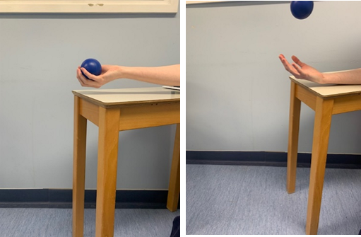 Image shows a hand face up gripping a small ball. A second image shows the ball being thrown up. 