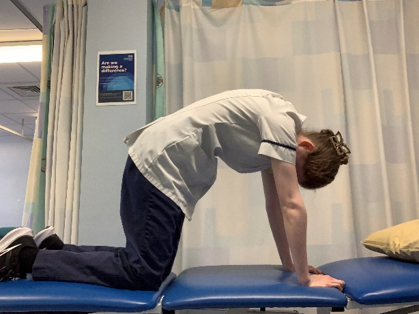 A person on hands and knees on the bed. Slowly arch up and round the back in a controlled manner.
