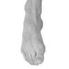 A picture of a persons foot, lifting the arch of the foot, turning it inwards and rolling onto the outer border of the foot